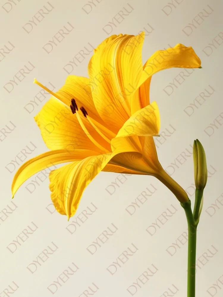 Flor Amarela Brilhante em Fundo Neutro - Beleza Natural e Elegância Floral